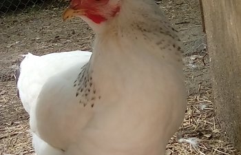 IMG_20170614_103922.jpg