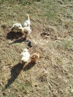 20170723_095925.jpg