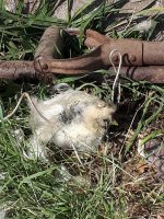 20170723_095849.jpg