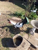 20170723_095746.jpg