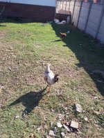 20170723_095715.jpg
