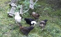 IMG_1280.JPG