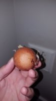 20170725_002450.jpg