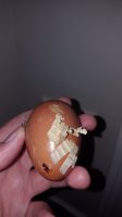 20170725_002440.jpg