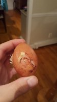20170725_002306.jpg