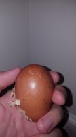 20170725_002516.jpg