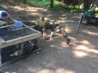 IMG_0617.JPG