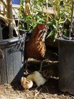 20170715_095657.jpg