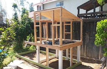 coop frame 1.jpg