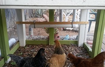 waterer.jpg