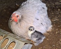 WP_20170726_07_46_28_Pro_LI (2).jpg