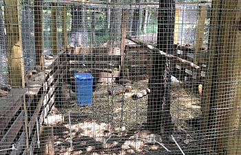 IMG_0532.JPG