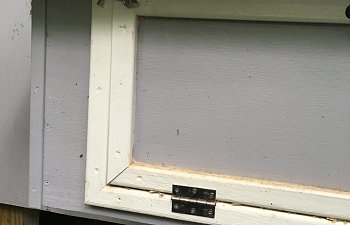 IMG_8857.jpg