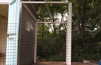 IMG_6762.jpg
