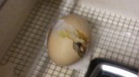 20170727_142111.jpg