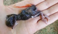 20170727_182534.jpg