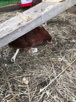 IMG_0641.JPG