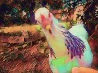 PicsArt_07-27-08.51.21.jpg
