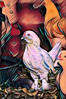 PicsArt_07-27-10.11.30.jpg