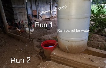 IMG_3454.JPG