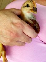 20170727_172551.jpg