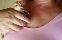20170728_120019.jpg