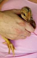 20170728_120129.jpg