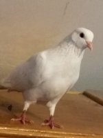 20170728_173851.jpg