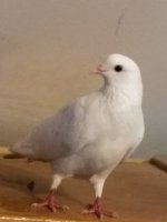 20170728_173903.jpg
