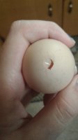 20170728_122506.jpg