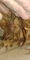 20170728_211838.jpg