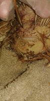 20170728_212722.jpg
