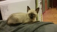 20170728_233435.jpg