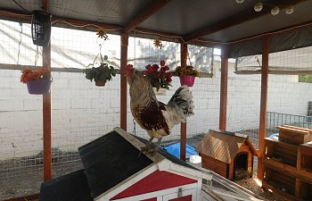 DSCN0736.JPG