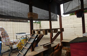 DSCN0576.JPG