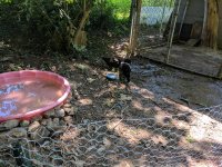IMG_20170729_145422.jpg