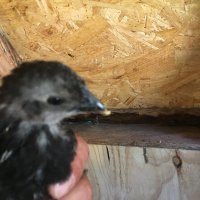 IMG_0108.JPG