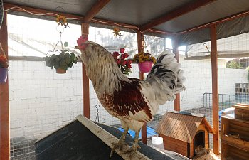DSCN0738.JPG