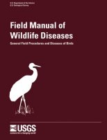 fiel_manual_wilflife_diseases.jpg fiel_manual_wilflife_diseases.jpg