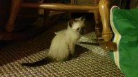 20170729_230046.jpg