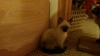20170729_230038.jpg