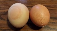 20160825_172628.jpg