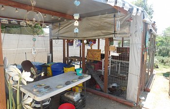 DSCN0771.JPG