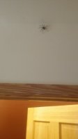 20170725_095902.jpg