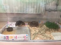 WeChat Image_20170801212050.jpg