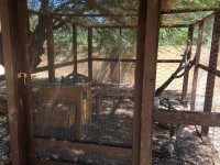 New run & coop front view.jpg