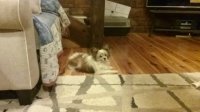 20170801_213632.jpg