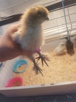 20170802_120111.jpg