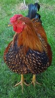 Phil_July 9 2017 resized small.jpg