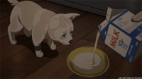 177BCF7B-DF1A-4BE8-99C5-27275356CCAB-6017-00000523BB16E356.gif